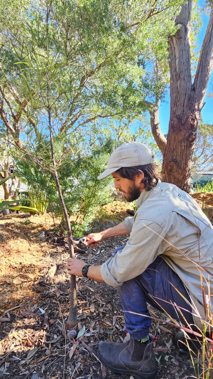 Carlos, Landscape and Gardening Specialist at Coastland Gardens