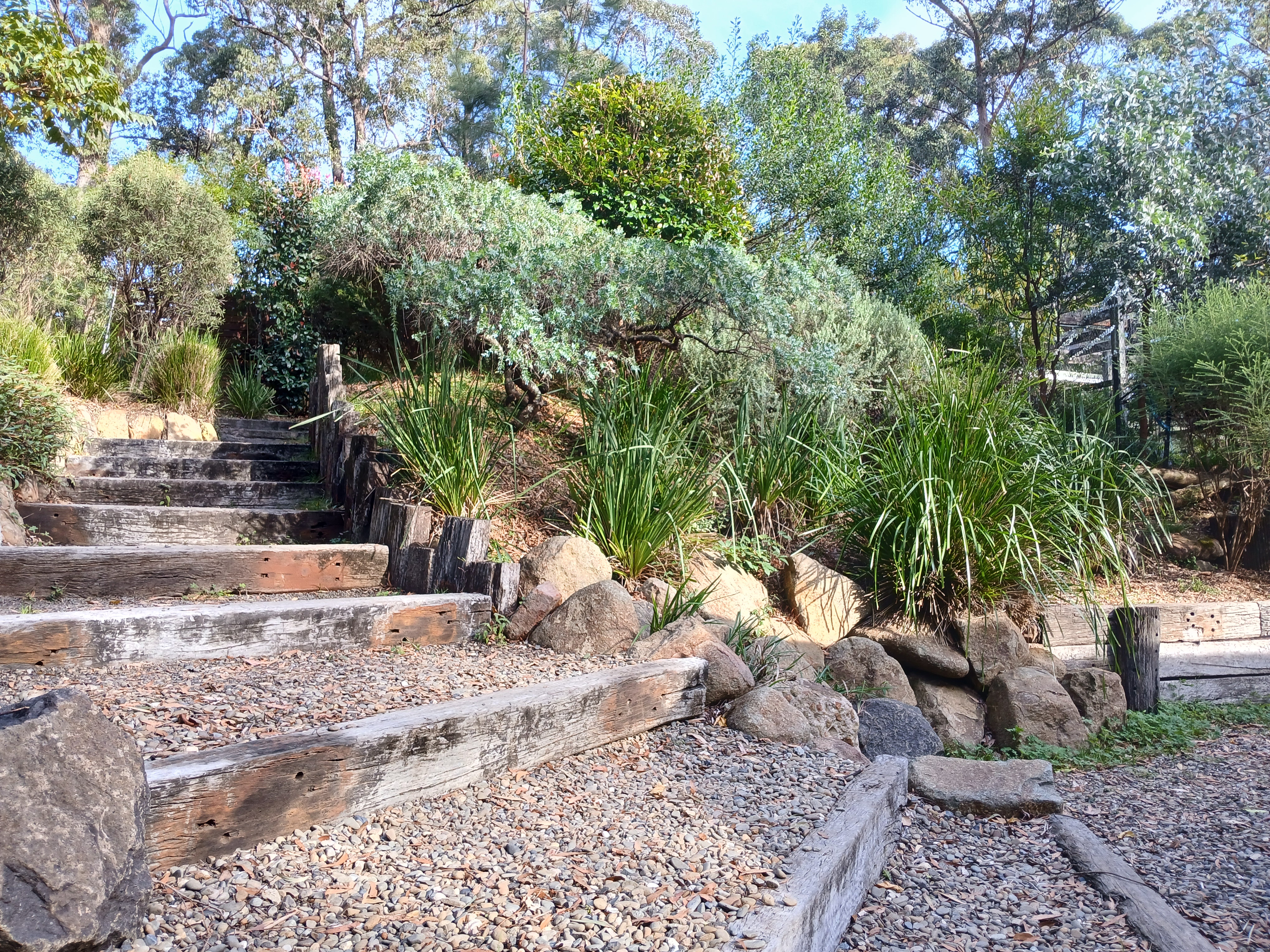 Native South Coast garden with timber steps, stonework and layered planting